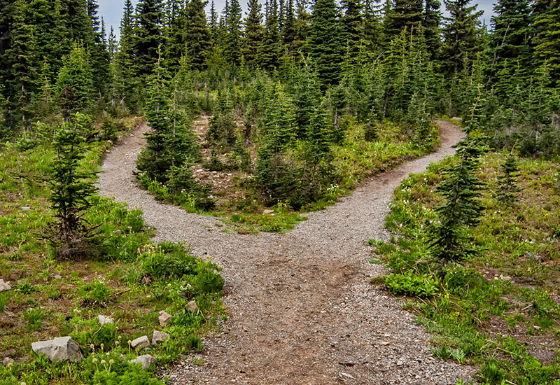 Pick your remote teaching path