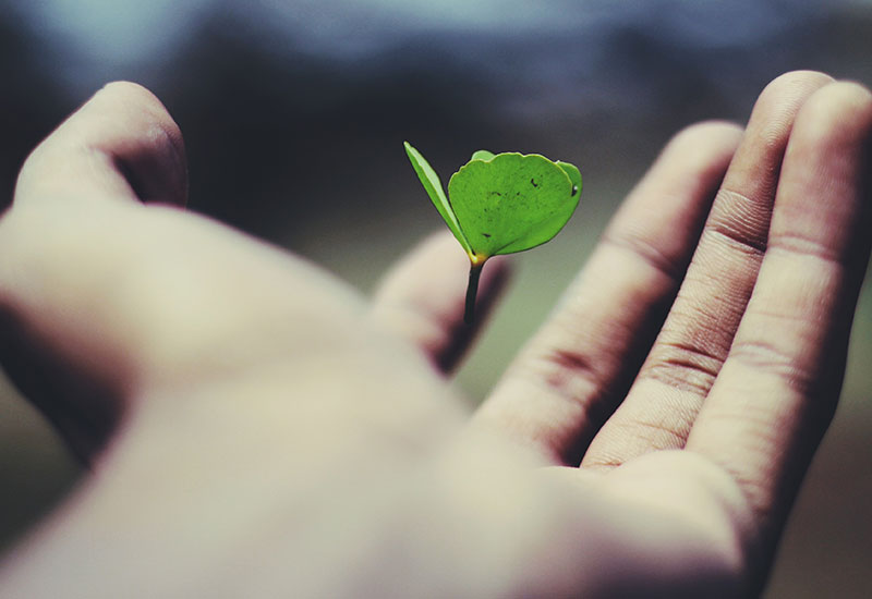 Fostering student growth with virtual learning