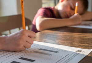 Students doing their homework