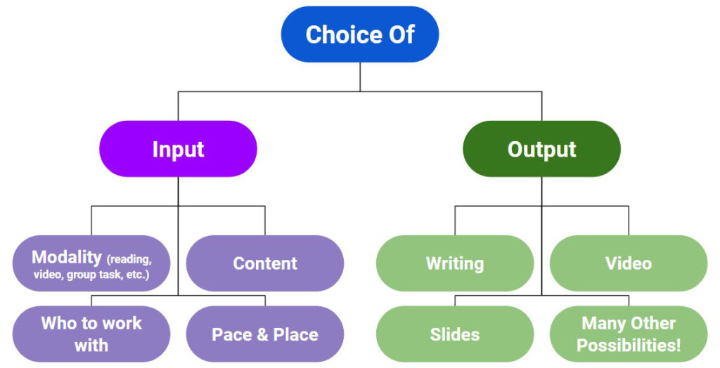 Student choice: input or output diagram
