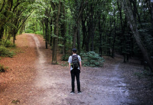 Student with a choice of paths to take