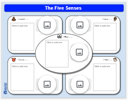 Five Senses Frayer-Style Organizer