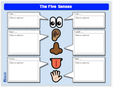 The Five Senses (vertical text) organizer