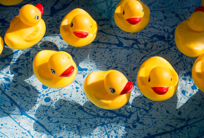 Floating rubber ducks