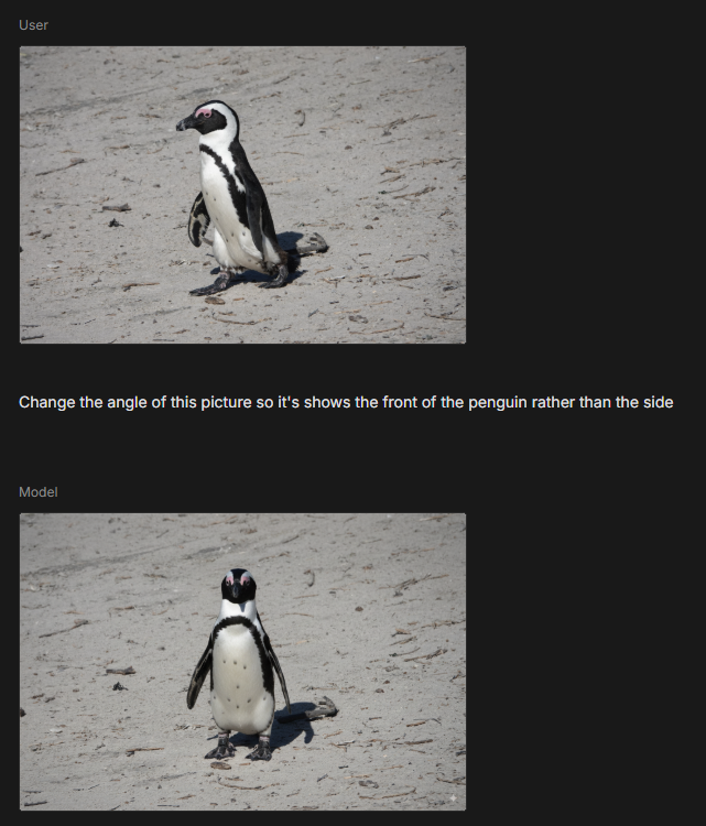 Shows the original penguin side view and the new front view below that
